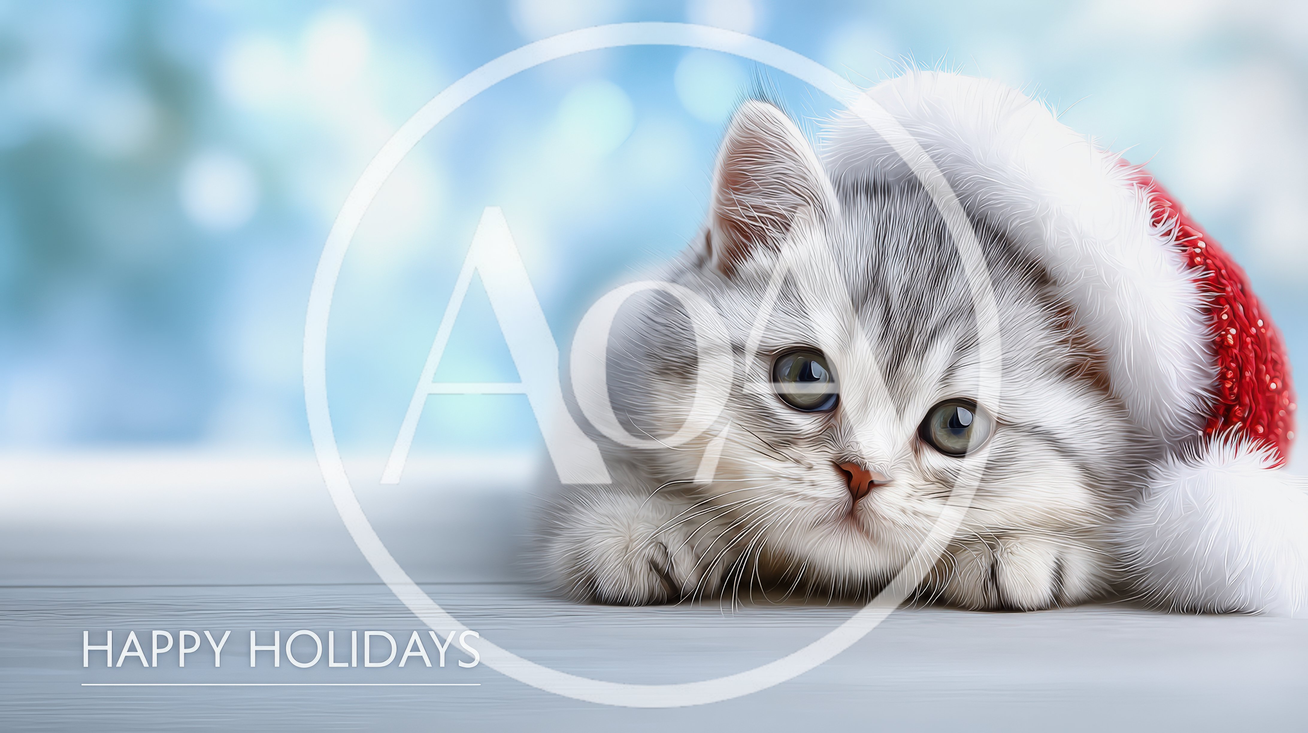 Cute Silver Tabby Kitten Wearing A Santa Hat