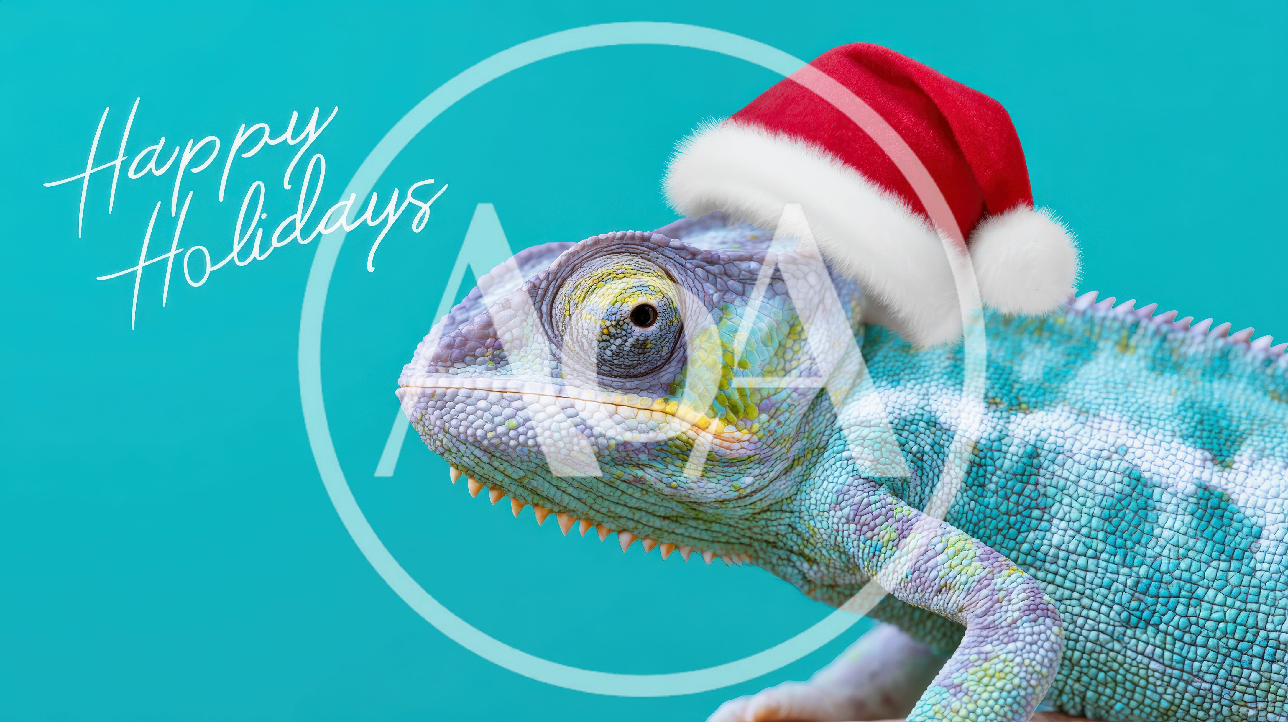 Chameleon Wearing A Santa Hat For The Holidays