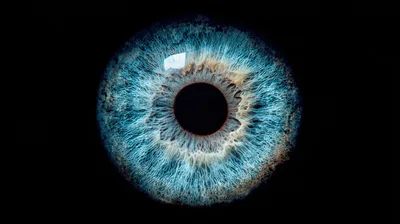 Extreme Close Up Of A Human Blue Iris