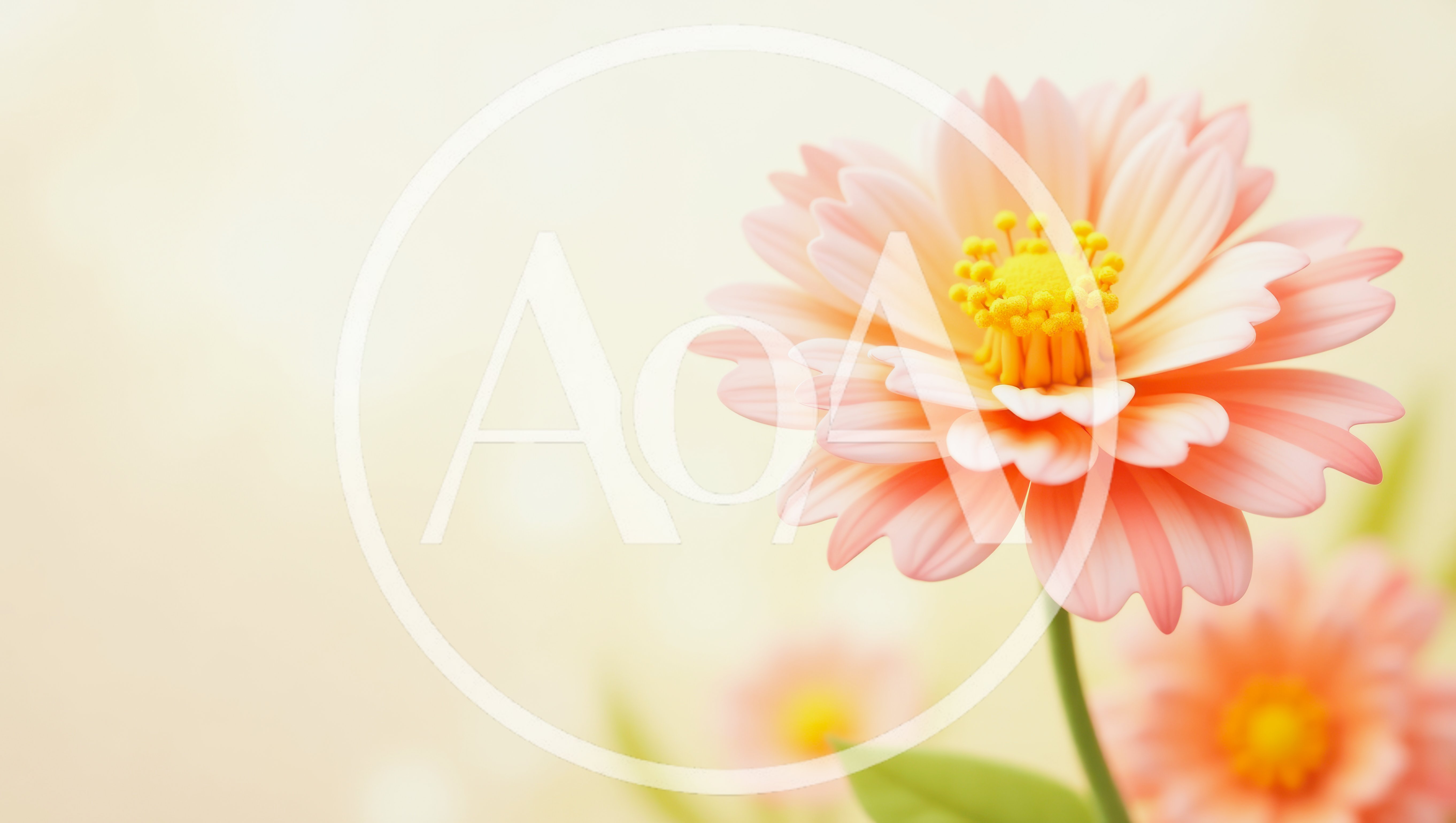 Soft Pastel Pink Zinnia Flowers in Garden