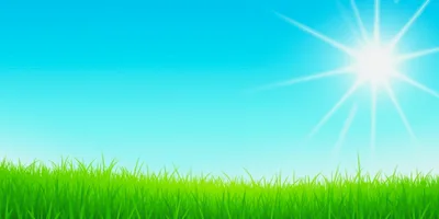 Bright Sunny Day Over A Lush Green Meadow