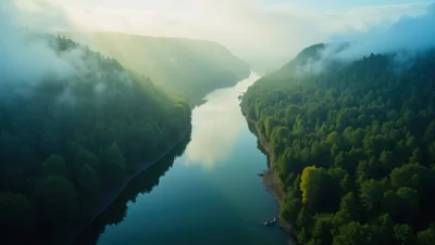 Aerial View Of A Serene River Through Misty Forest