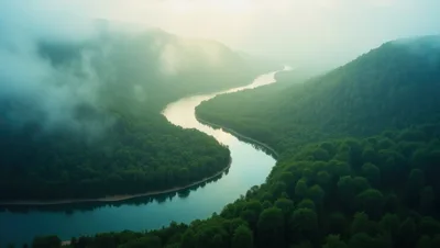 Aerial View Of A Winding River Through Misty Forest