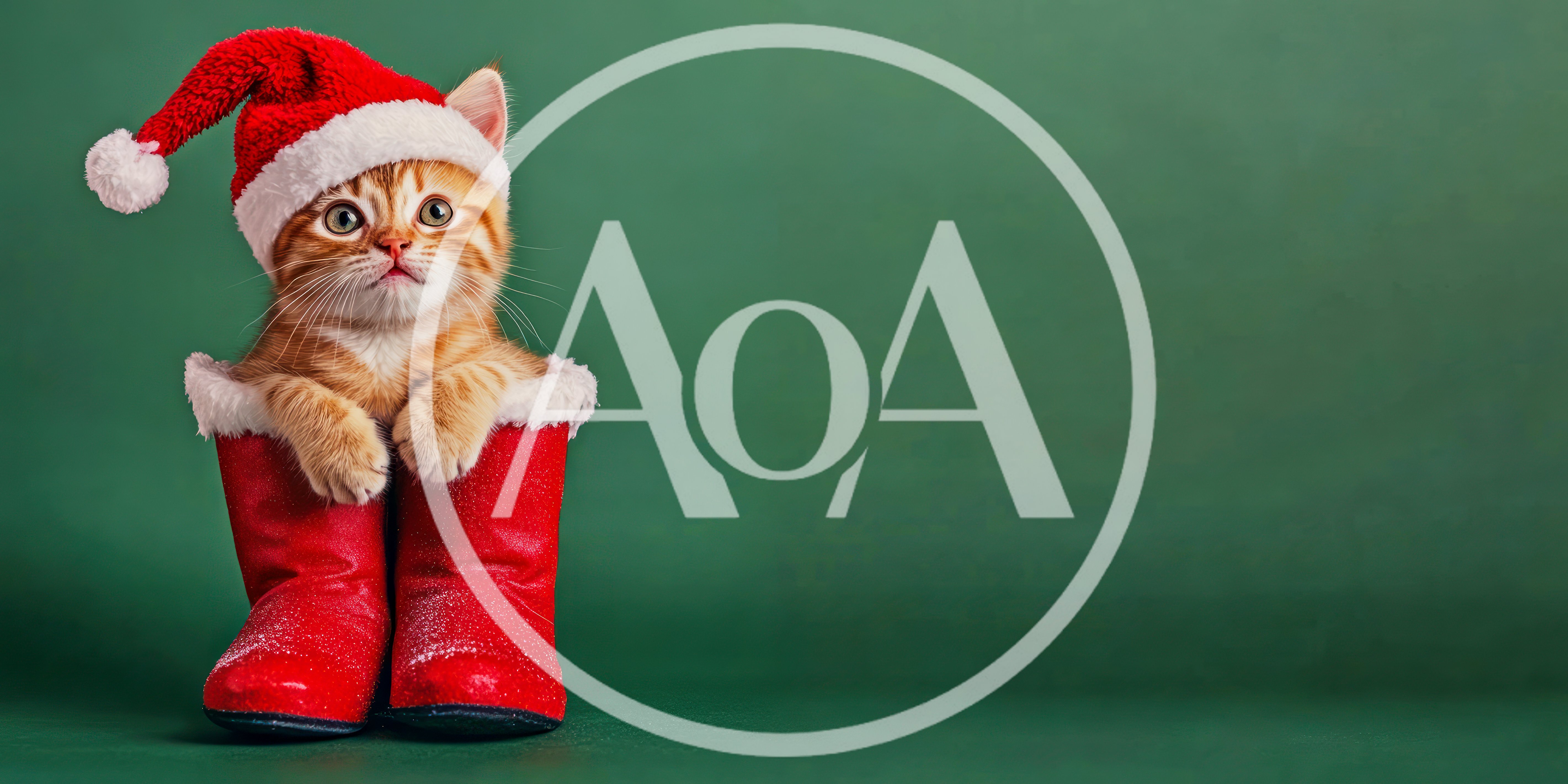 Cute Ginger Kitten Wearing Santa Hat Inside Red Boots