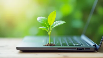 Small Green Plant Growing From Laptop Keyboard
