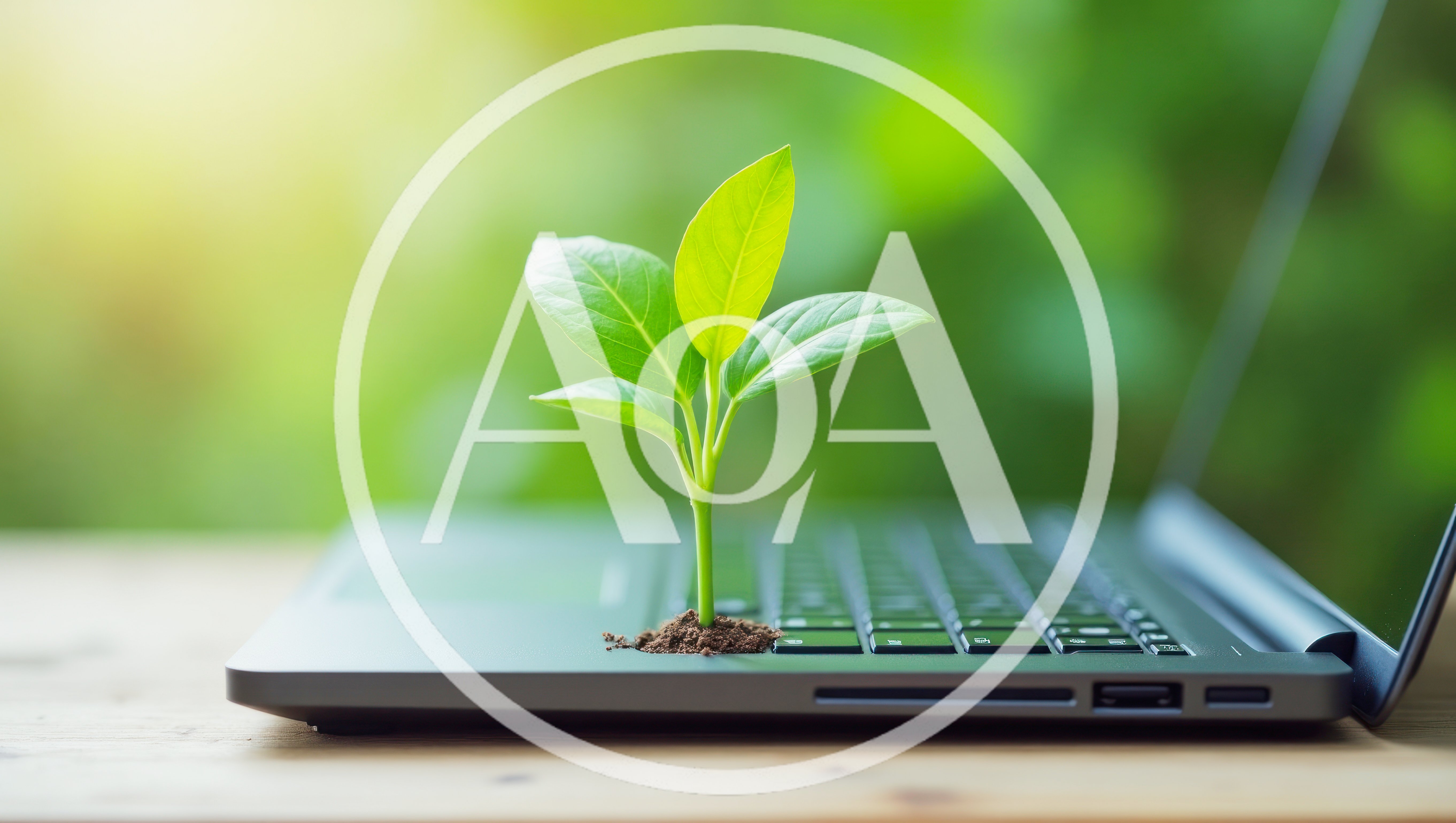 Small Green Plant Growing From Laptop Keyboard