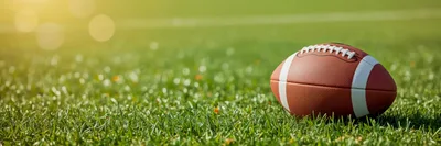 American Football Resting On A Green Grass Field