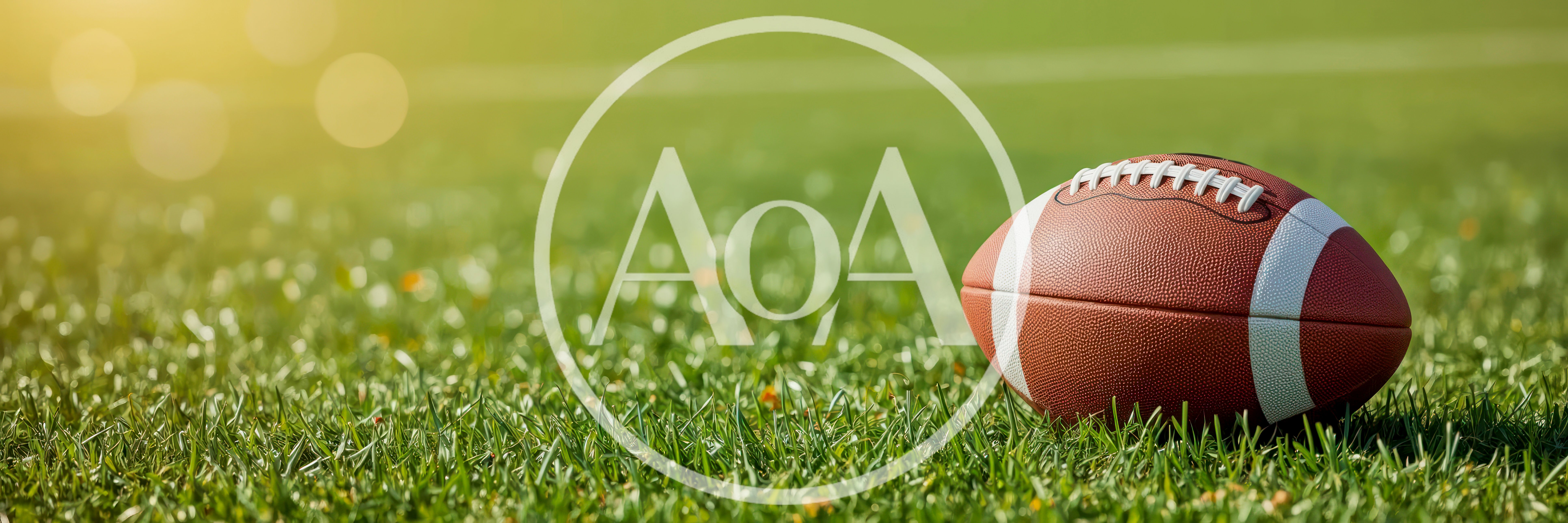 American Football Resting On A Green Grass Field