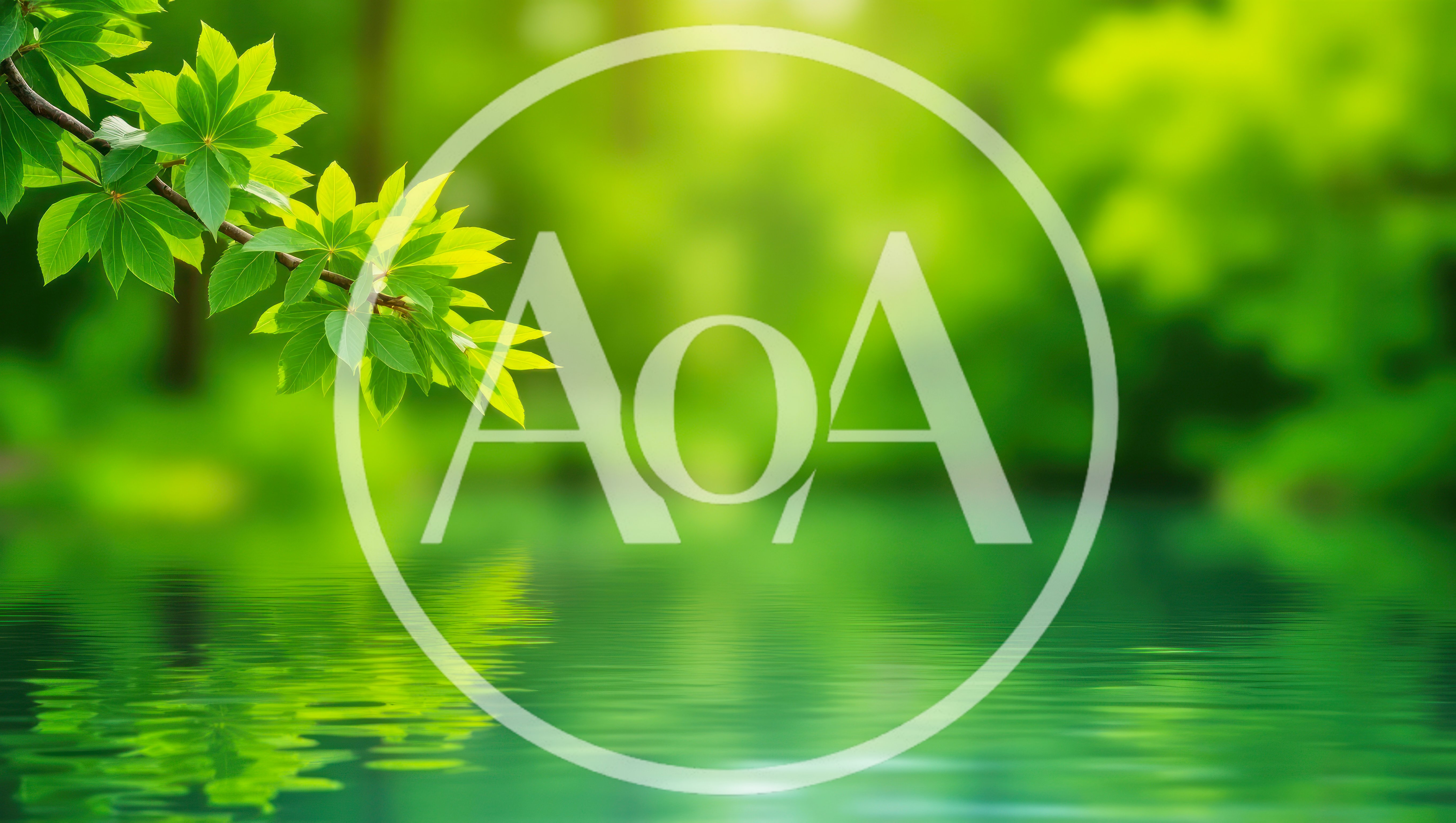 Green Tree Branch Overhanging Calm Reflective Water Surface