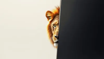 Lion Peeking From Behind A Dark Screen