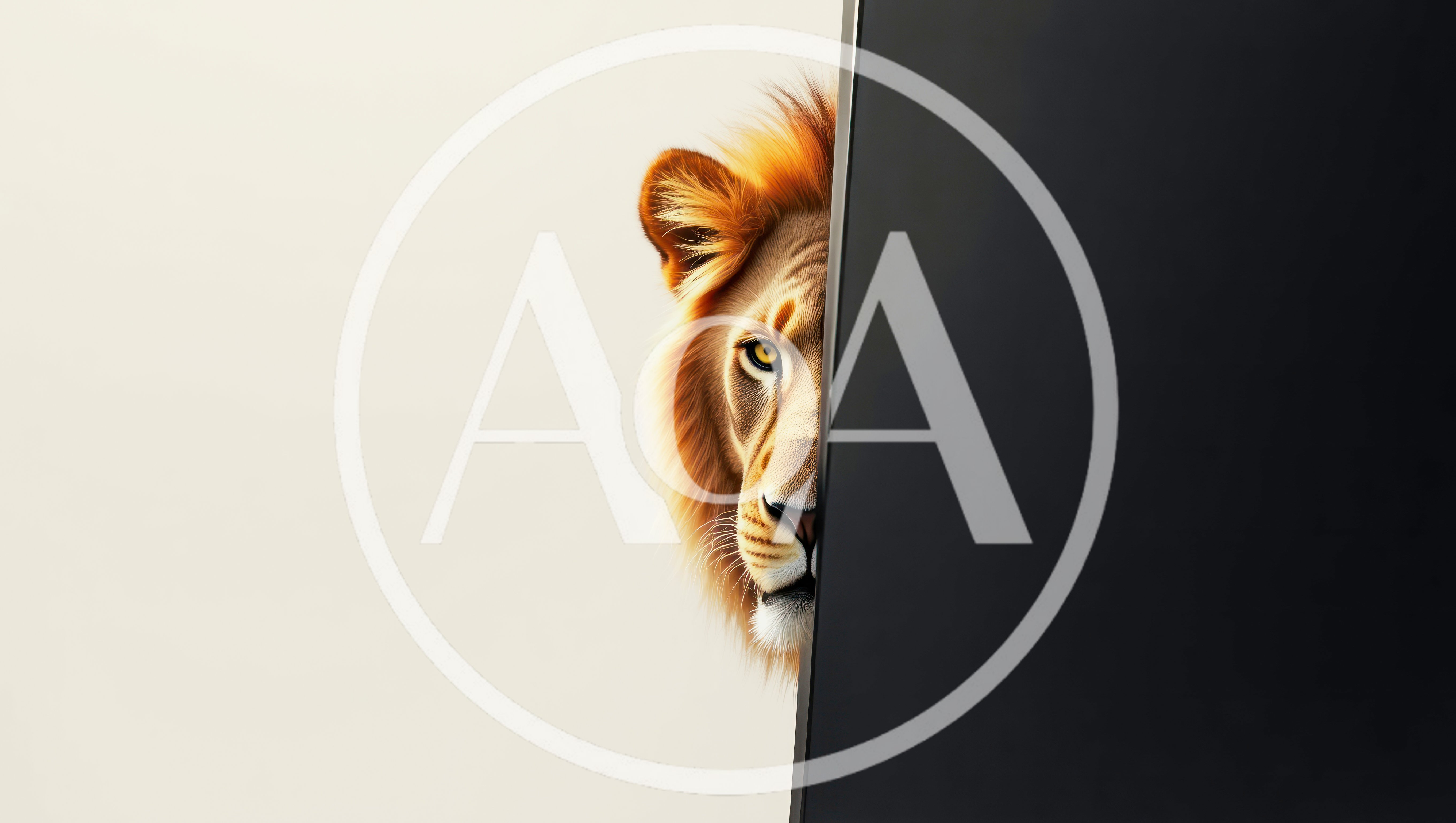 Lion Peeking From Behind A Dark Screen