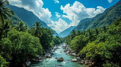Tropical River Flowing Through Lush Mountain Valley