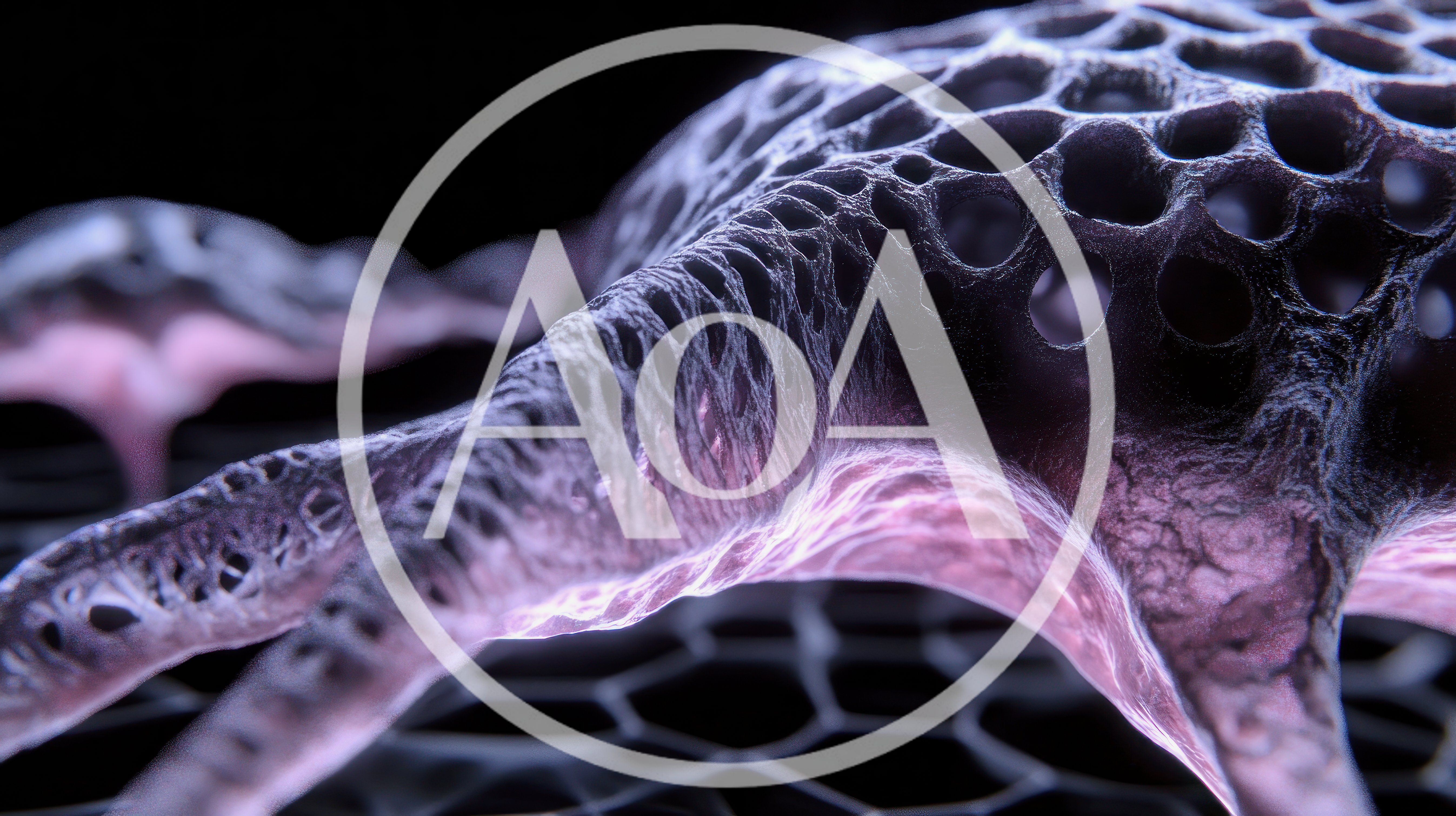 Microscopic View Of Cellular Structure On Graphene Surface