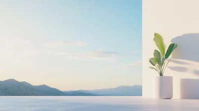 Minimalist Potted Plant On A Sunny Terrace