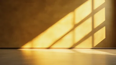 Sunlight Casting Window Frame Shadows On Interior Wall