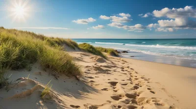 Sunny Beach Sand Dunes With Footprints