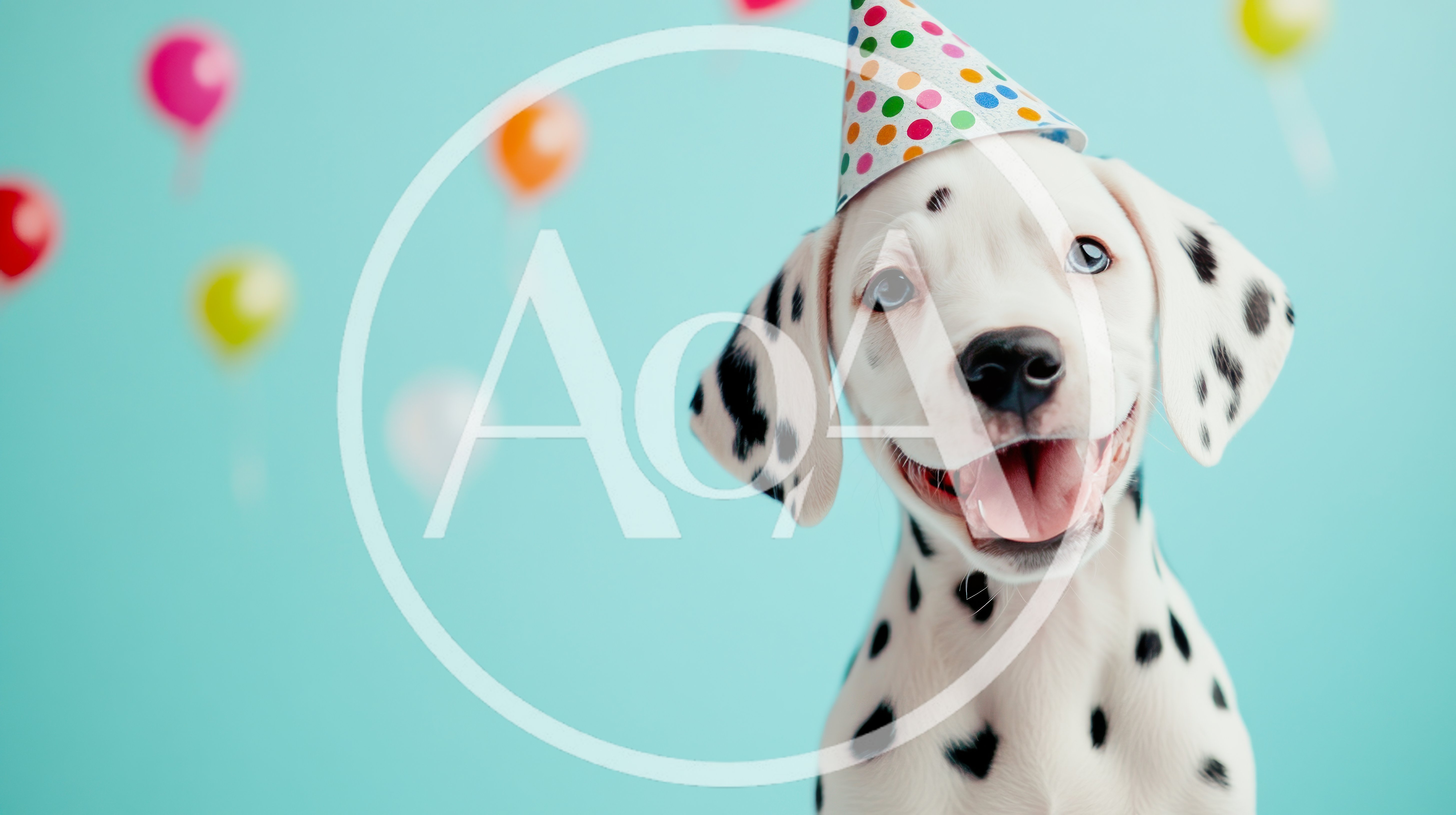 Happy Dalmatian Puppy Wearing A Colorful Party Hat