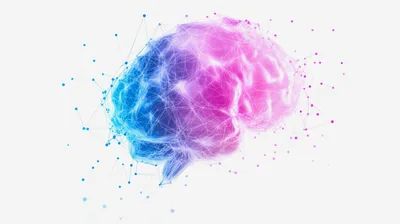 Digital Human Brain Network Visualization