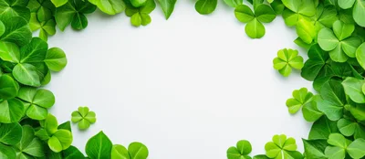 Clover Leaf Border Frame On White Background