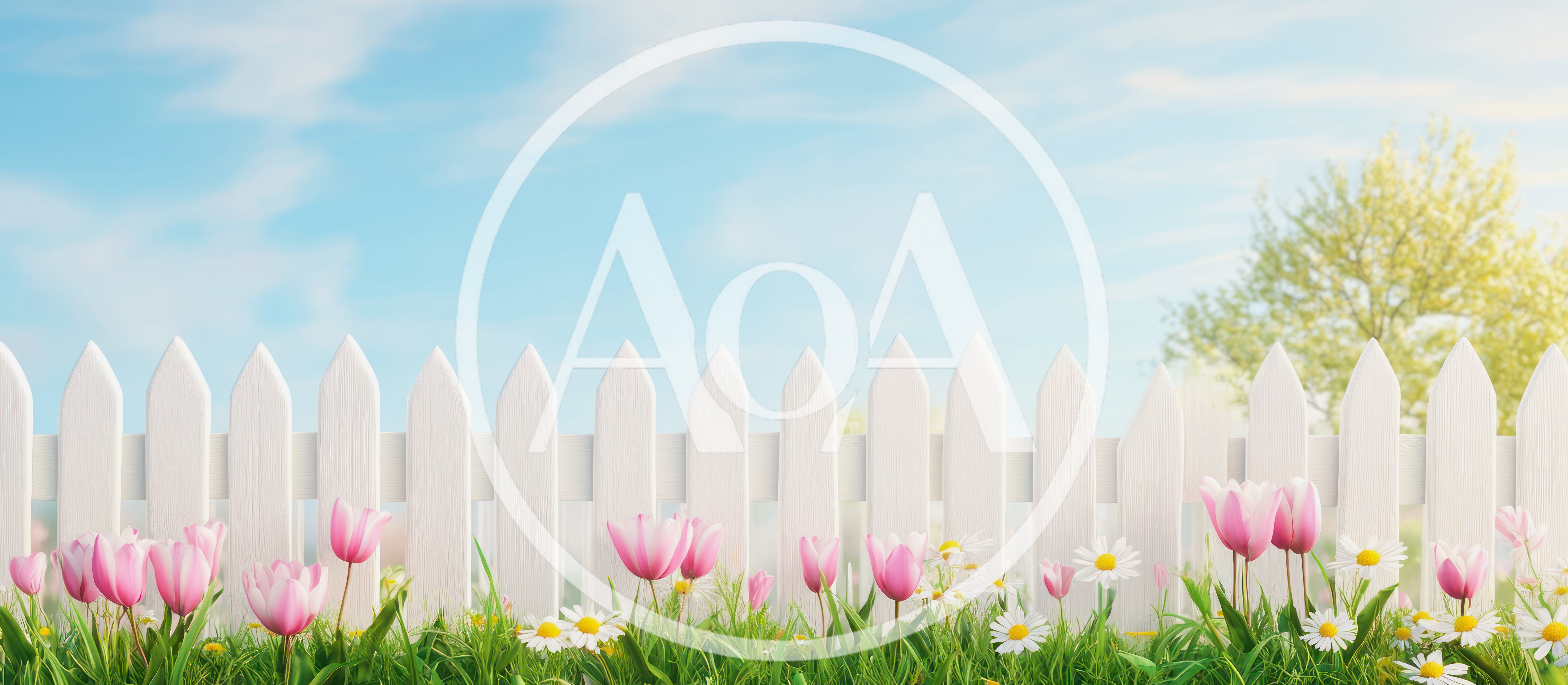 White Picket Fence With Spring Tulips And Daisies