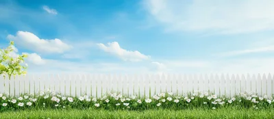 White Picket Fence With Flowers And Green Grass