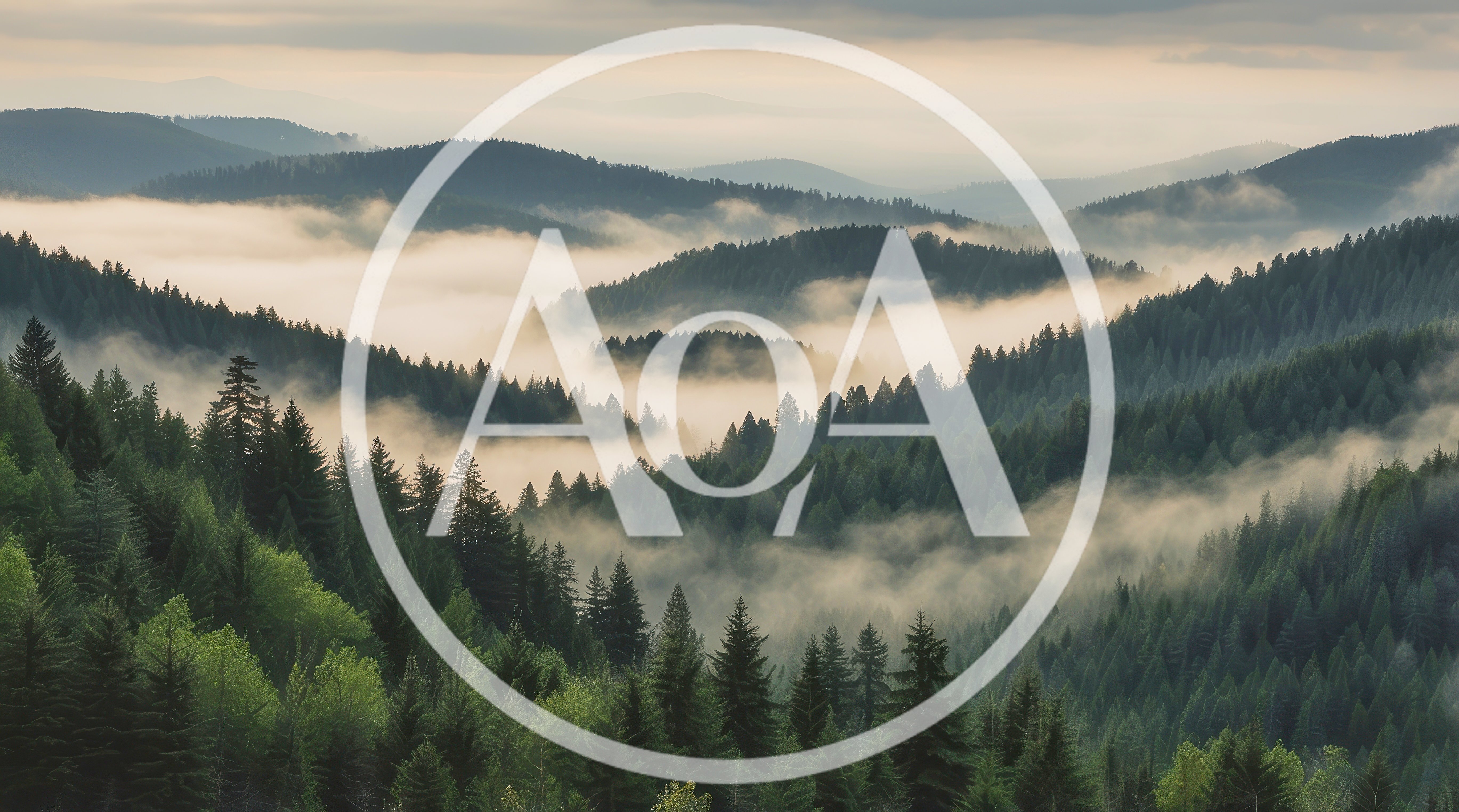 Misty Forest Landscape With Rolling Mountain Ridges