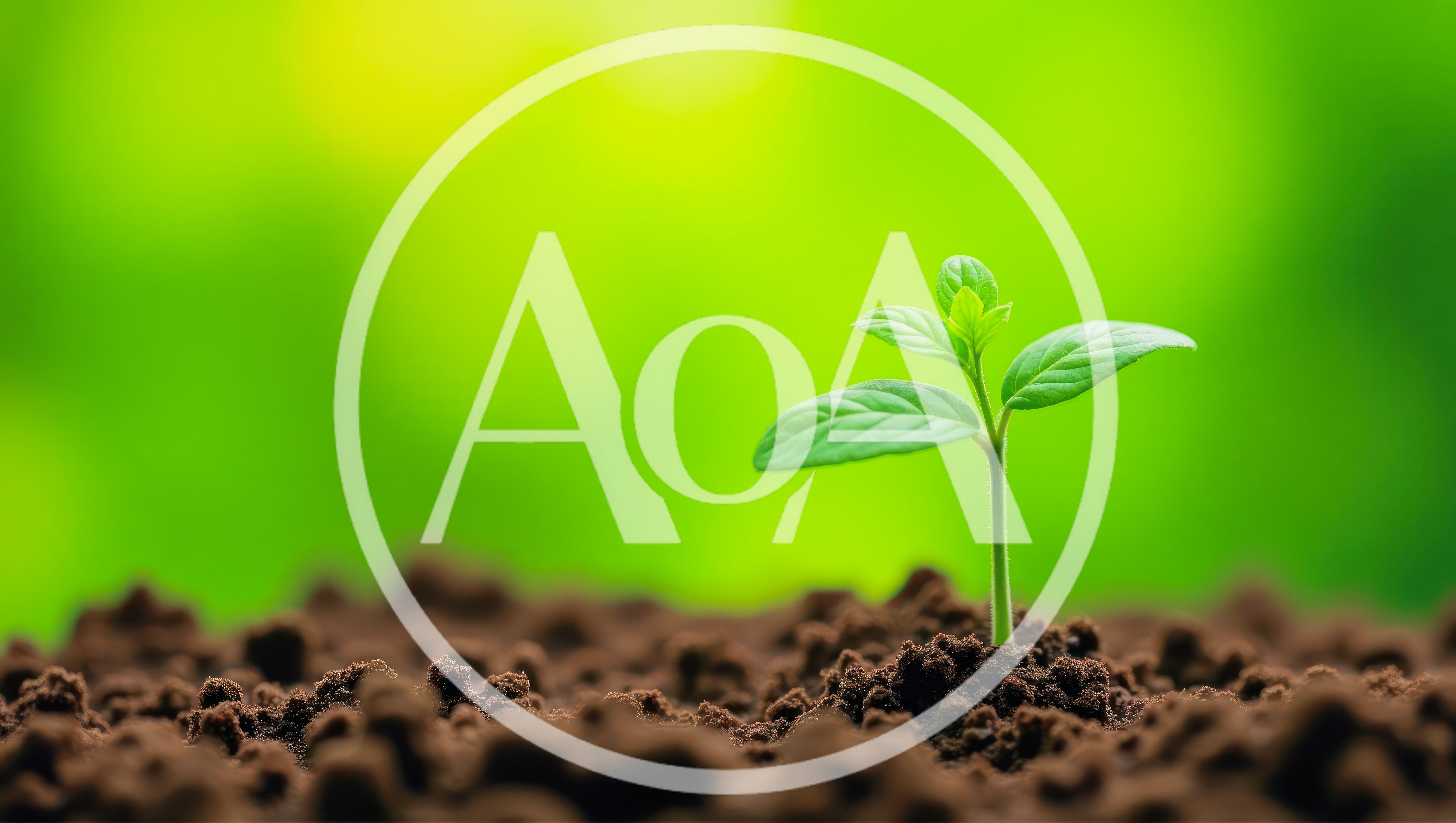 Small Green Plant Sprouting From Rich Soil