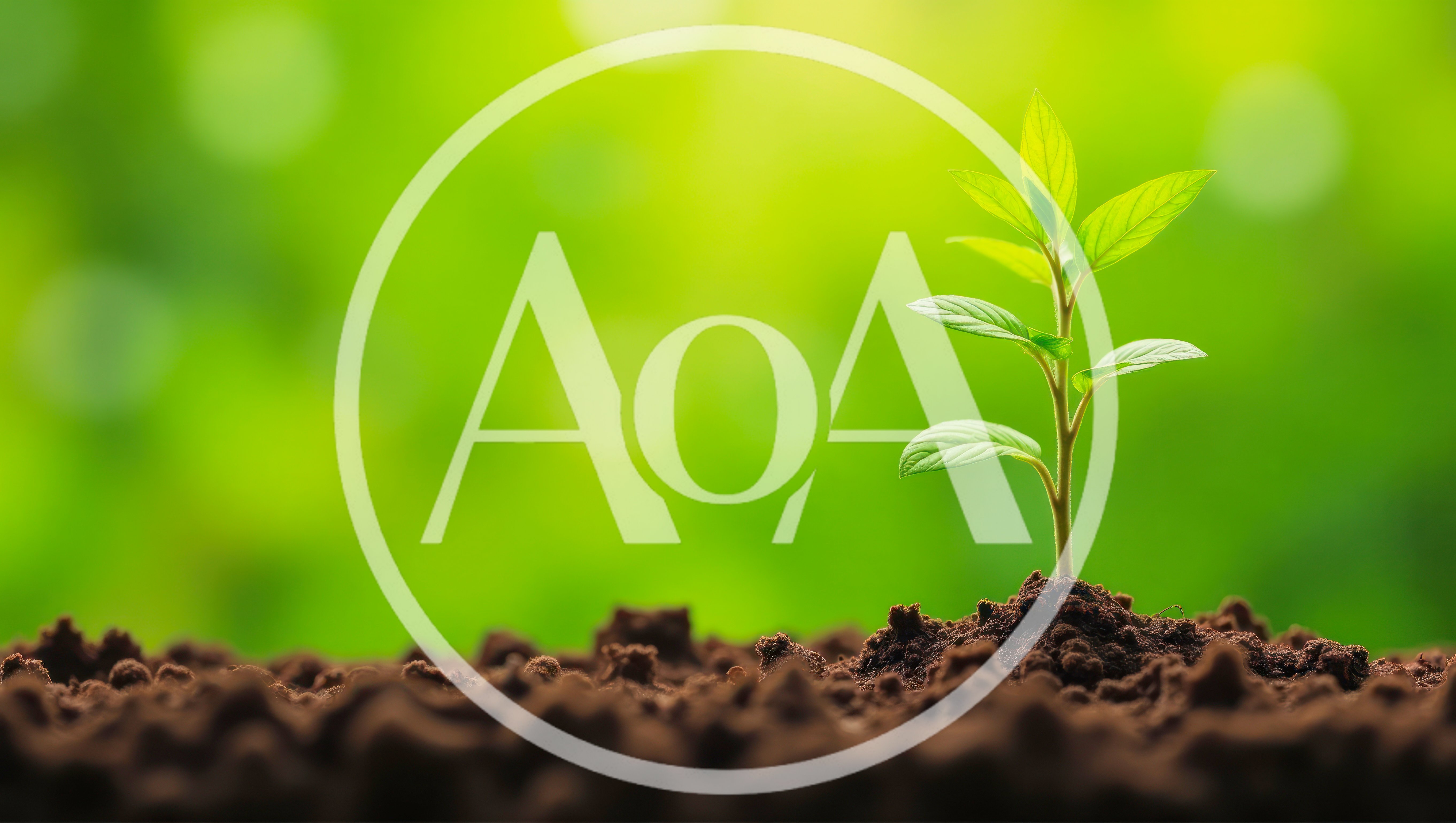 Small Green Plant Growing From Fertile Soil