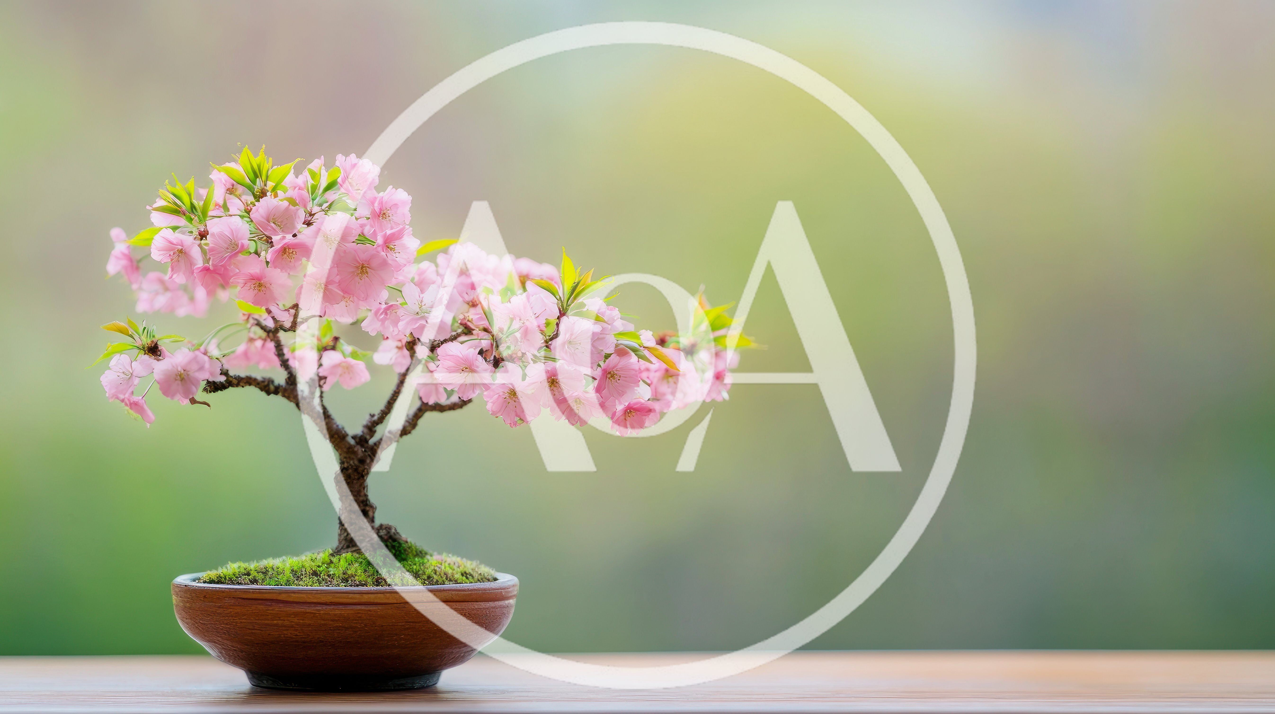 Small Pink Cherry Blossom Bonsai Tree In Ceramic Pot