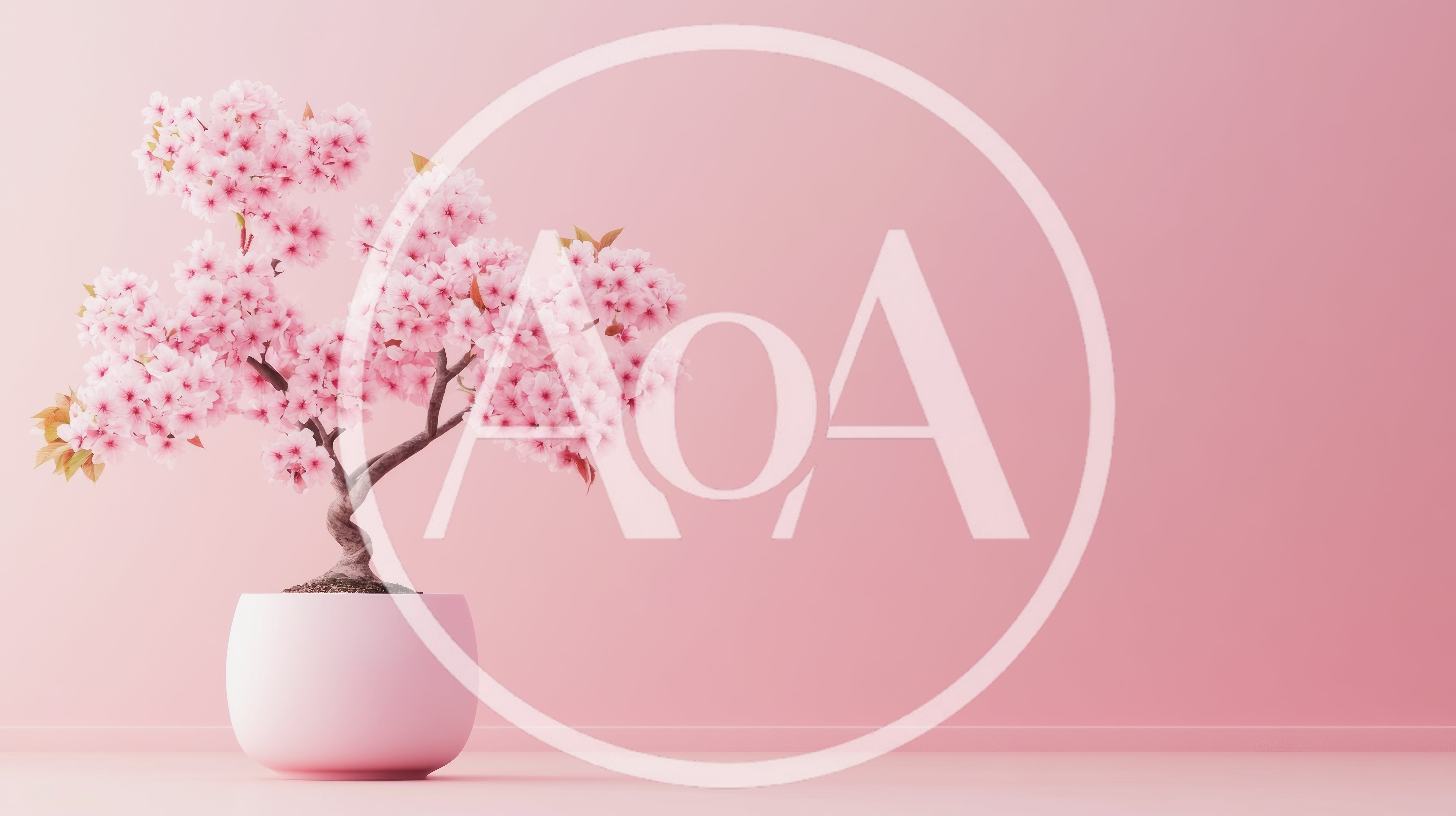 Cherry Blossom Bonsai Tree In Pink Pot