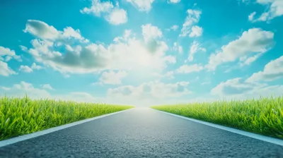 Empty Asphalt Road Through Green Grass Field