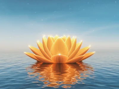 Glowing Golden Lotus Flower Floating On Calm Water