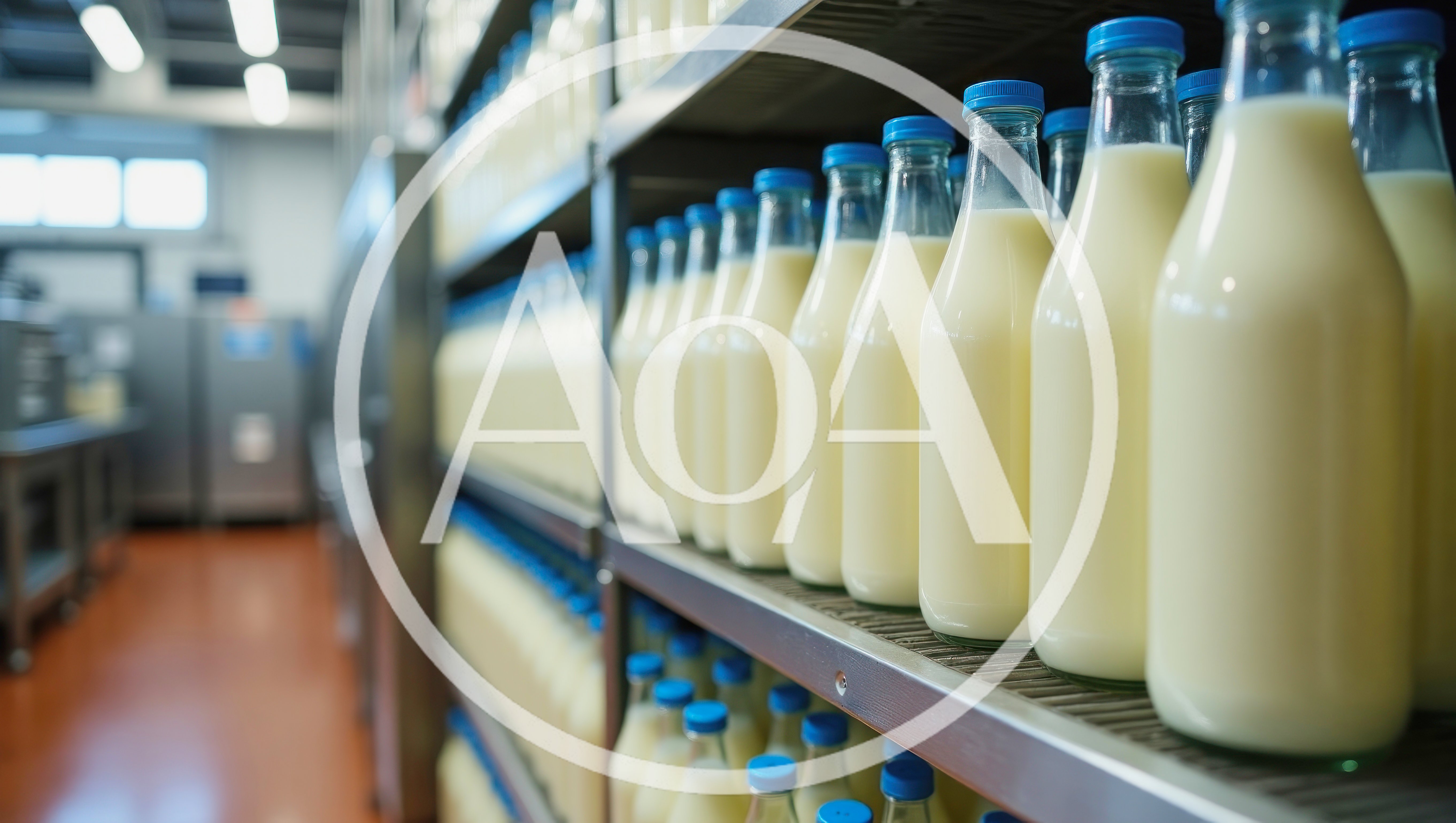 Rows Of Glass Milk Bottles On Industrial Shelving
