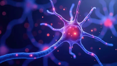 3D Render Of A Glowing Biological Neuron Cell