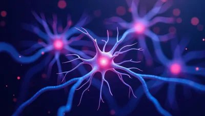 3D Rendered Neurons Communicating In A Neural Network