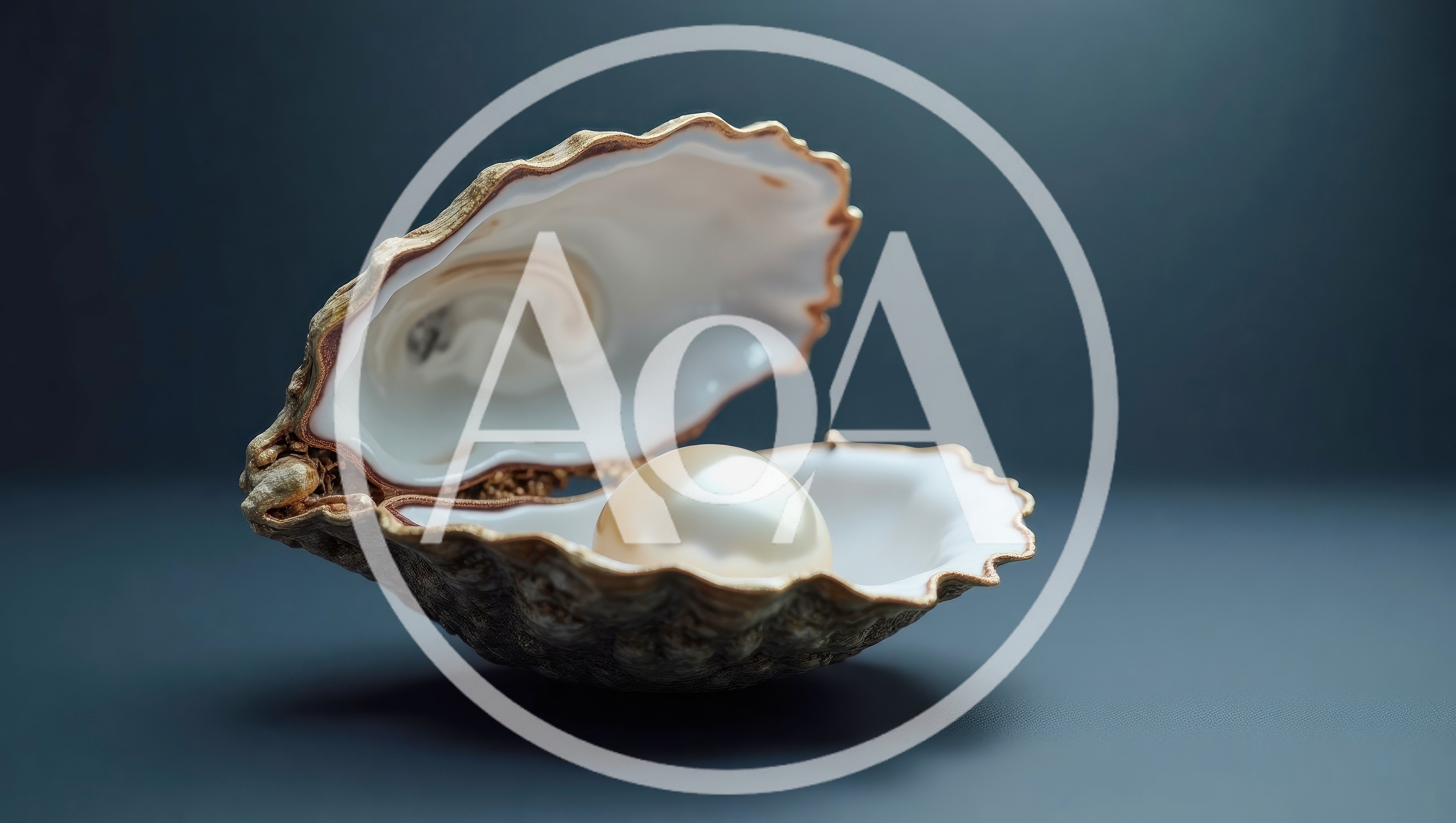 Open Oyster Shell With A Single Lustrous Pearl