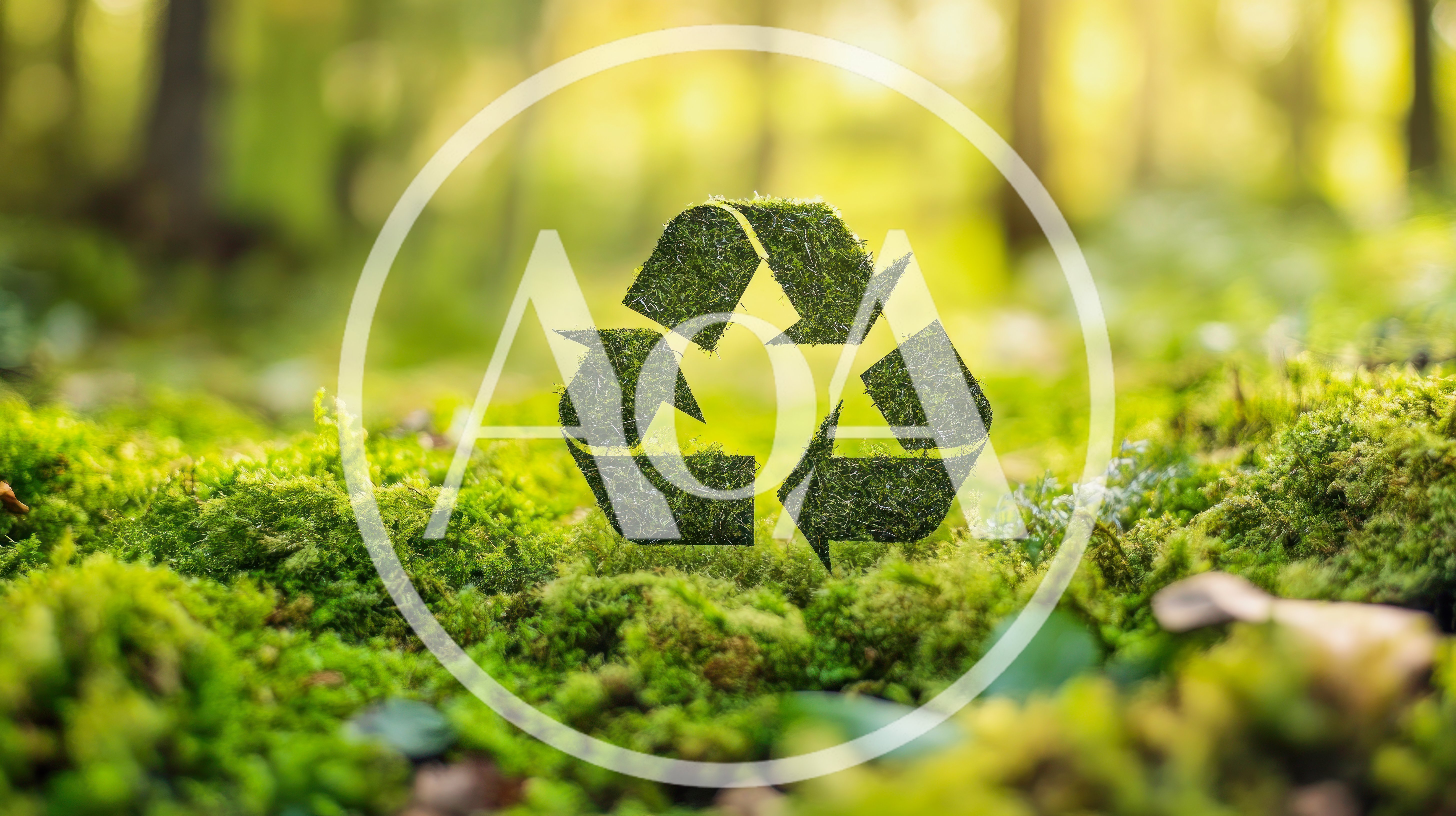 Moss Covered Recycling Symbol In A Forest