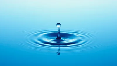 Single Water Drop Impact Creating Concentric Ripples
