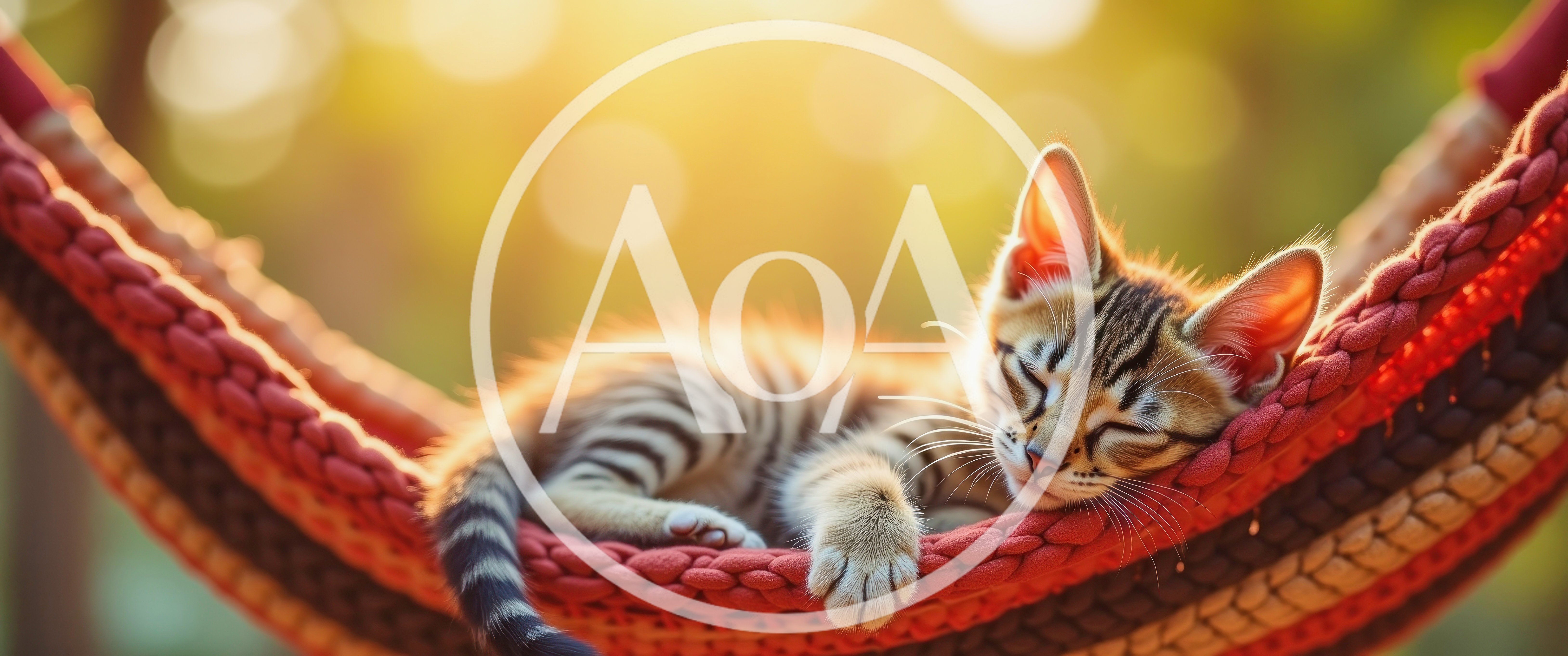 Cute Tabby Kitten Sleeping In A Knitted Hammock