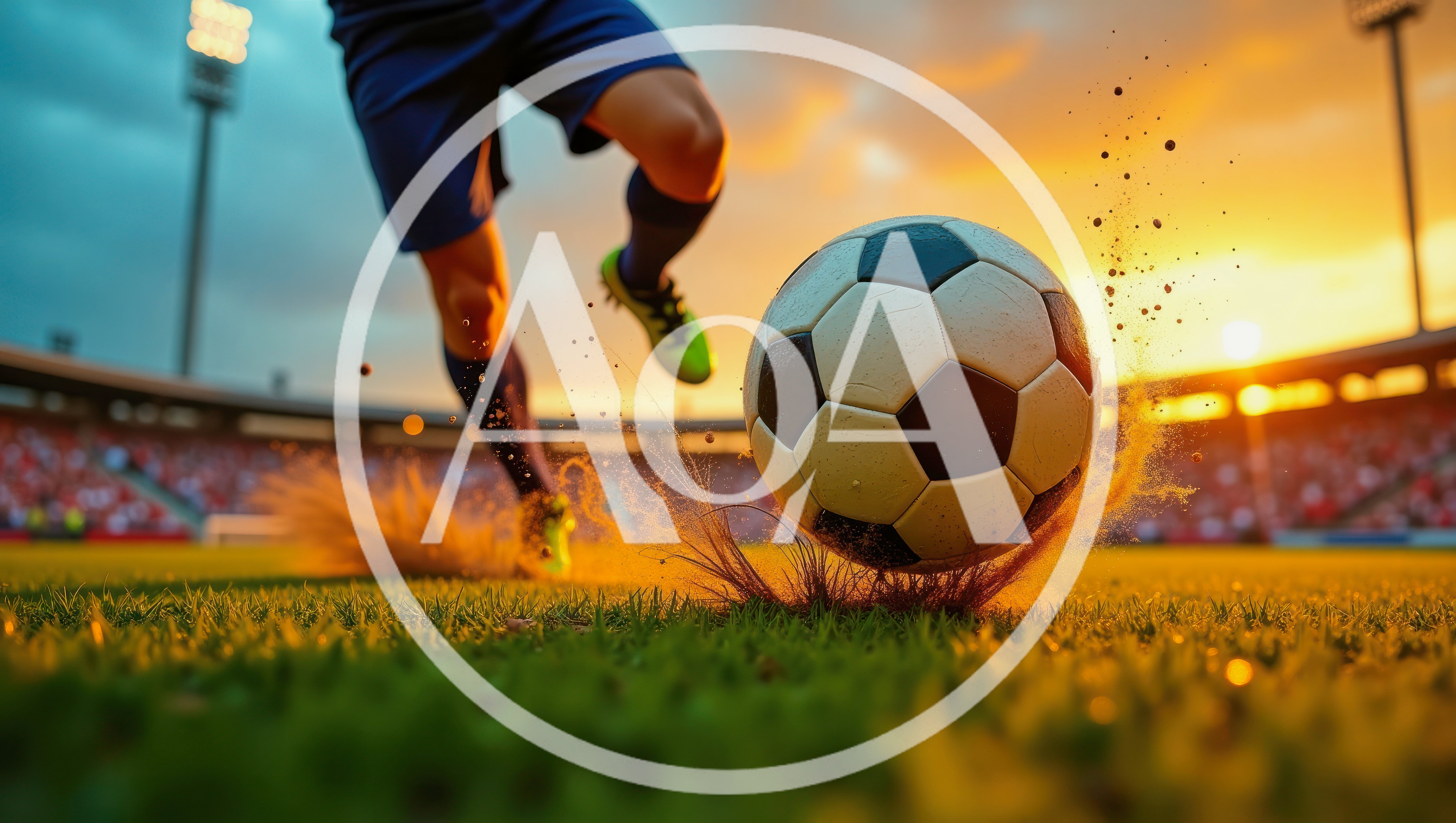 Soccer Player Kicking Ball On Stadium Field