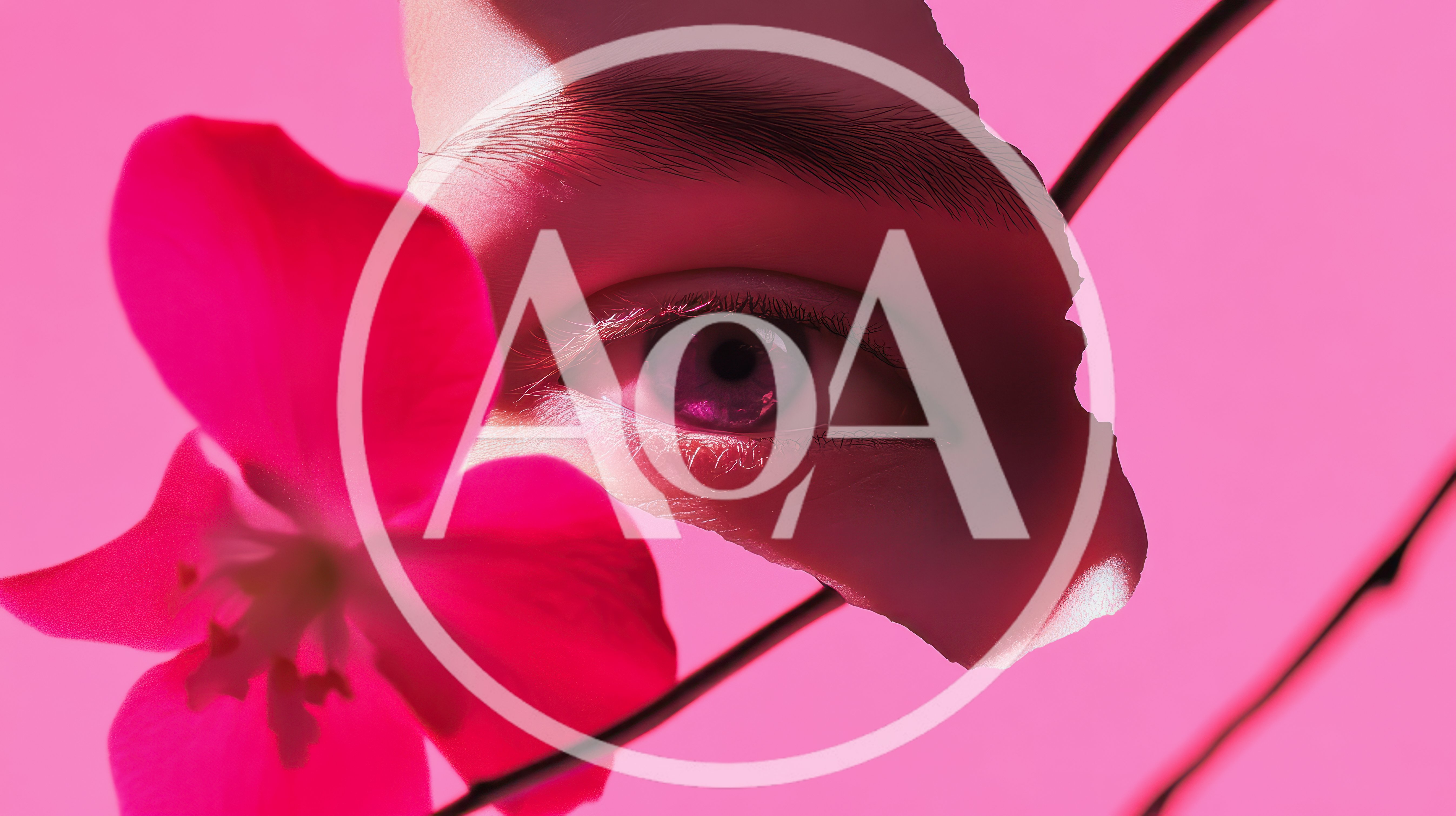 Human Eye Peeking Through Torn Paper With Pink Flower