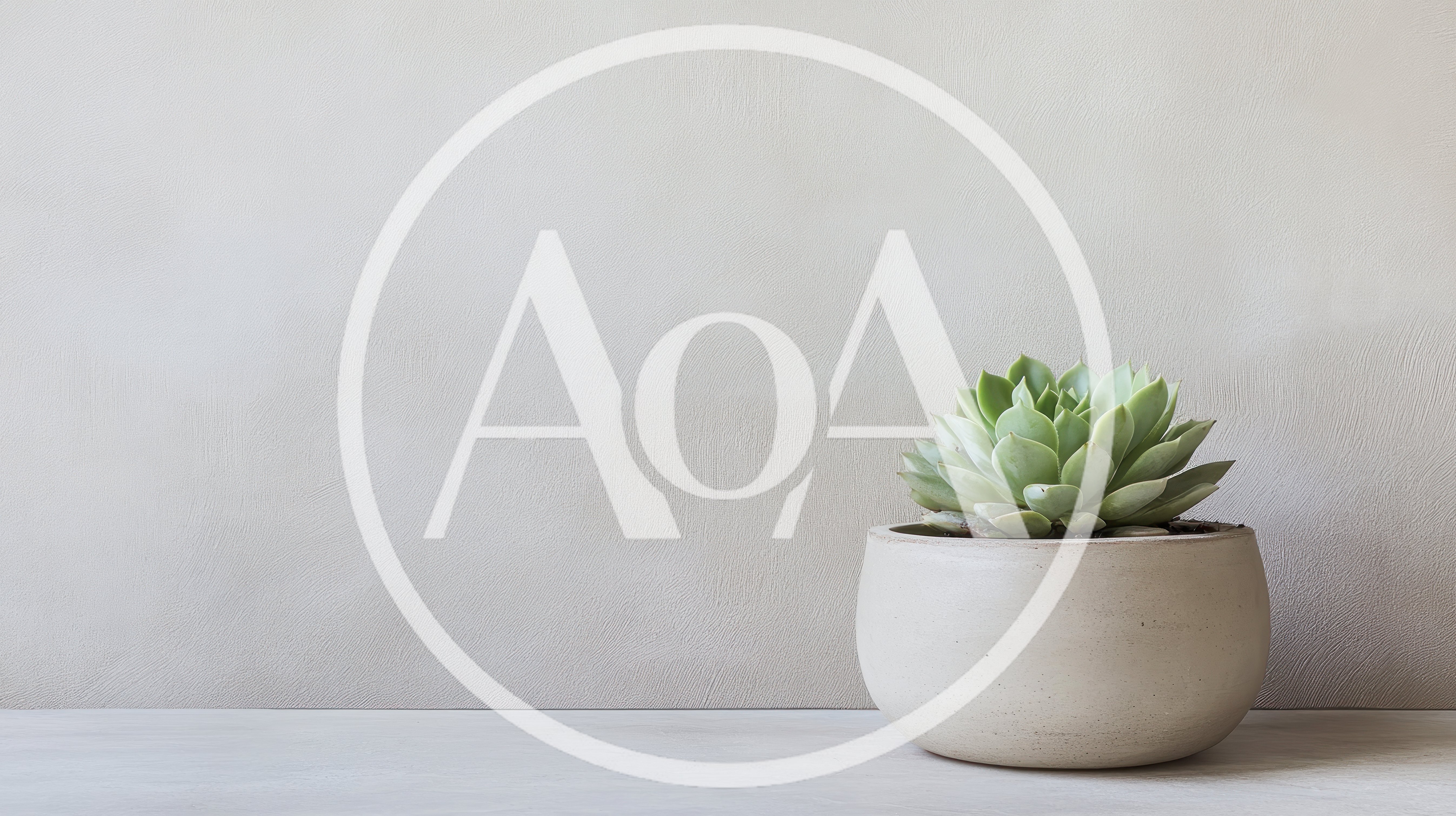 Succulent Plant In A Minimalist Concrete Pot