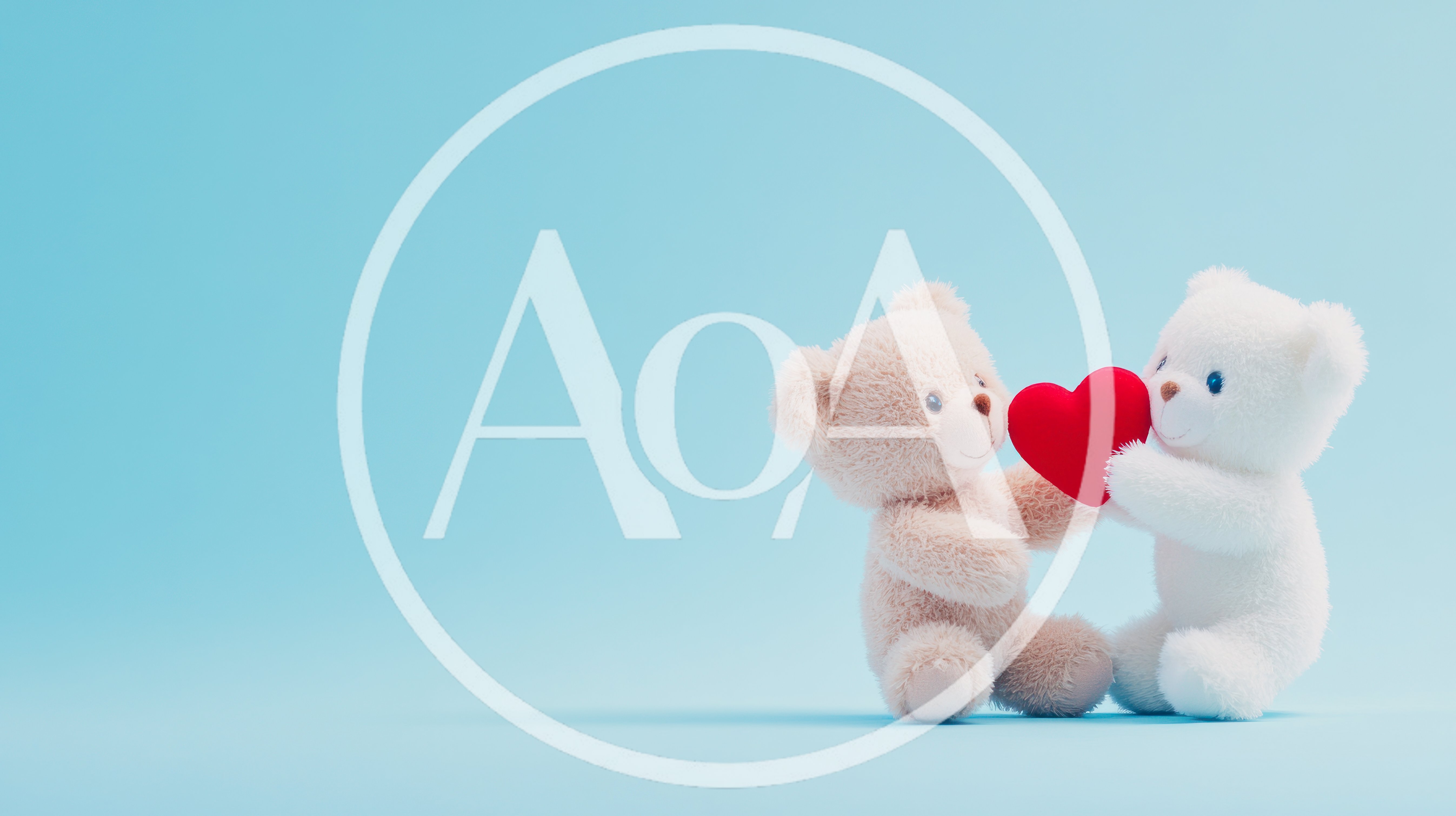 Two Cute Teddy Bears Holding A Red Heart