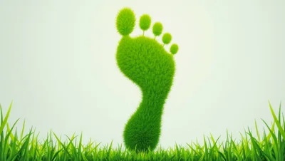 Green Grass Footprint Symbol on White Background