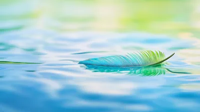 Single Colorful Feather Floating On Calm Blue Water