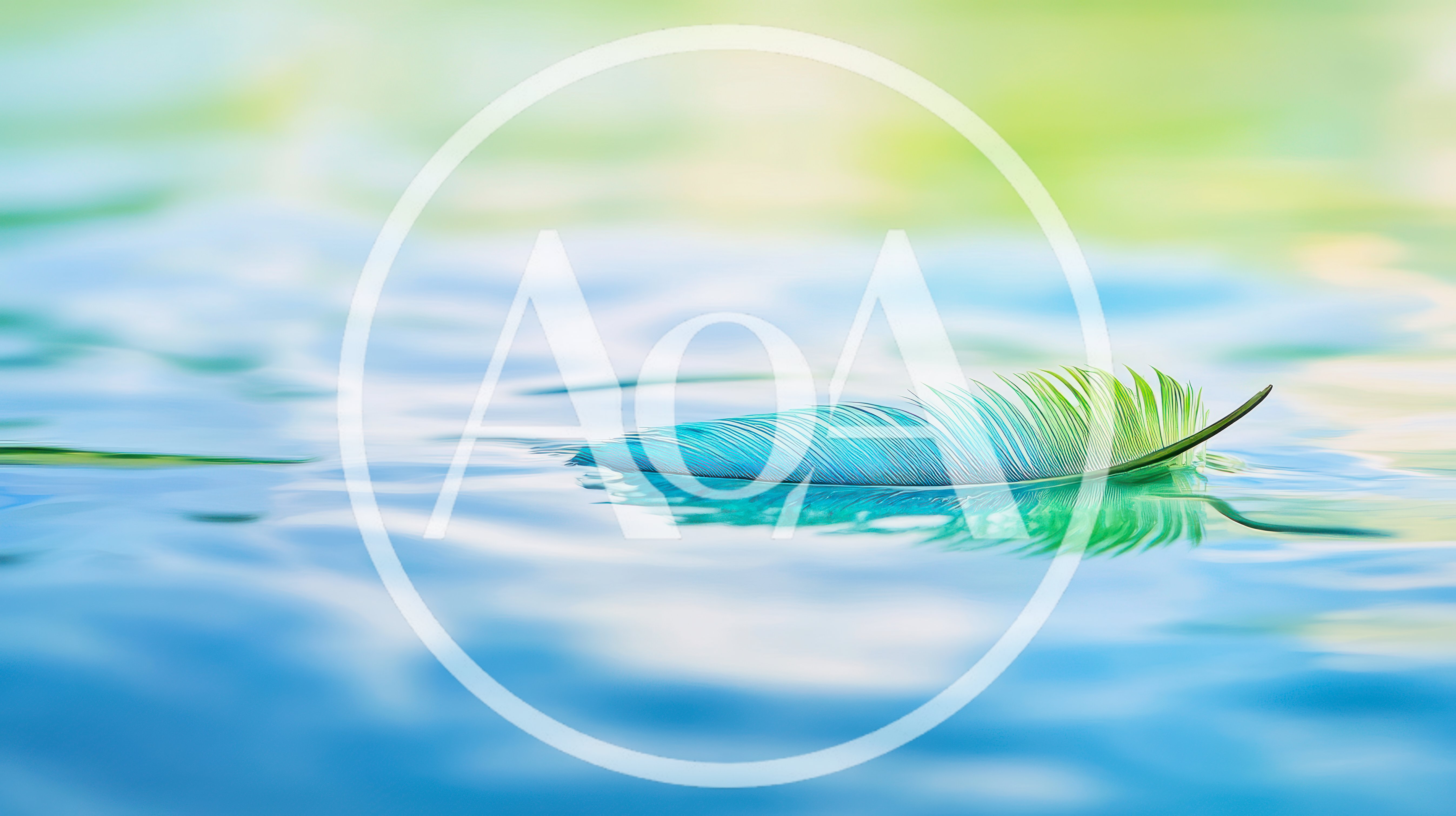 Single Colorful Feather Floating On Calm Blue Water