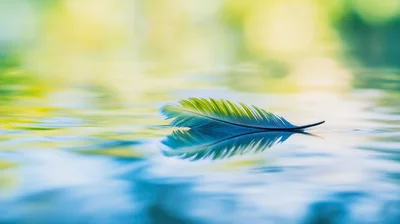 Single Feather Floating On Calm Water Surface