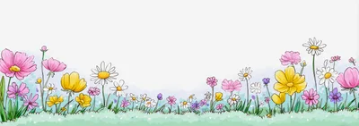 Watercolor Illustration Of A Wildflower Meadow Border