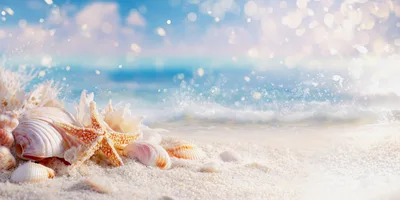 Seashells And Starfish On A Sunny Tropical Beach