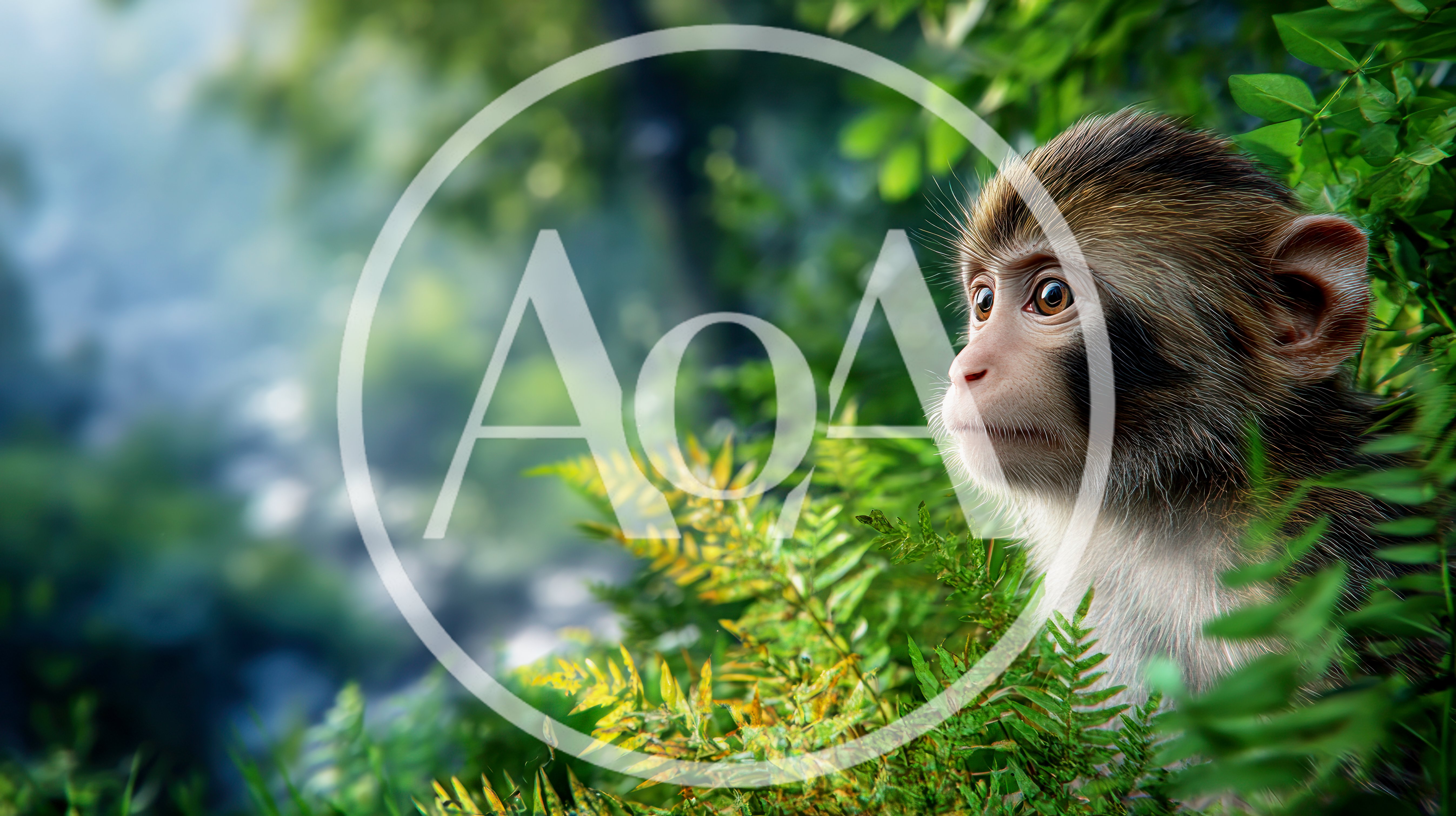 Young Macaque Monkey Peering Through Lush Green Jungle Foliage